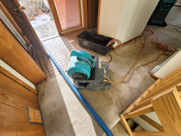 Carpet water damage restoration in TN