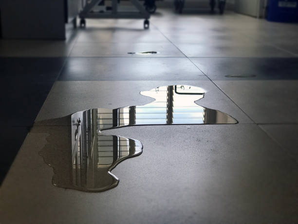 Best 24/7 water damage repair  in Benton, TN