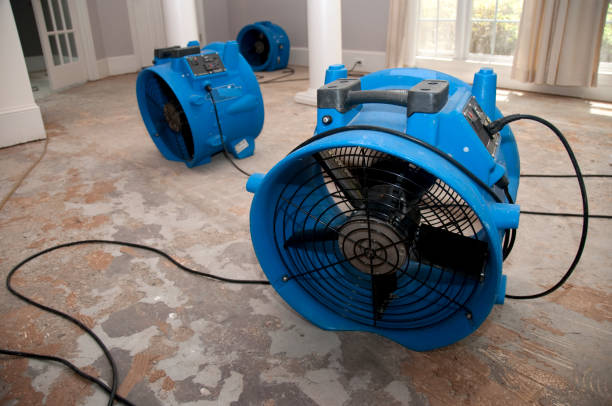  Benton, TN Water damage restoration Pros