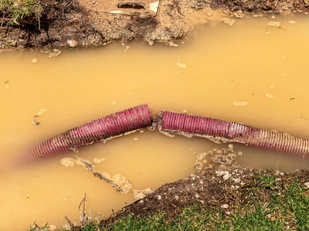 Best Water damage cleanup near me  in Benton, TN